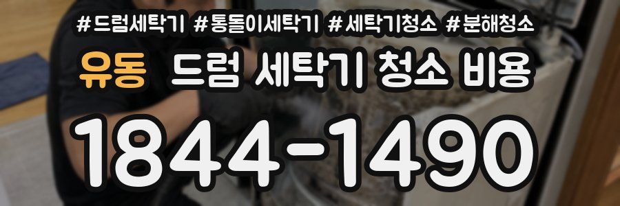유동 드럼 세탁기 청소 비용