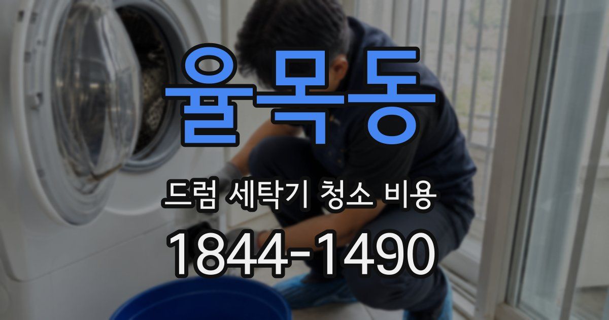 율목동 드럼 세탁기 청소 비용