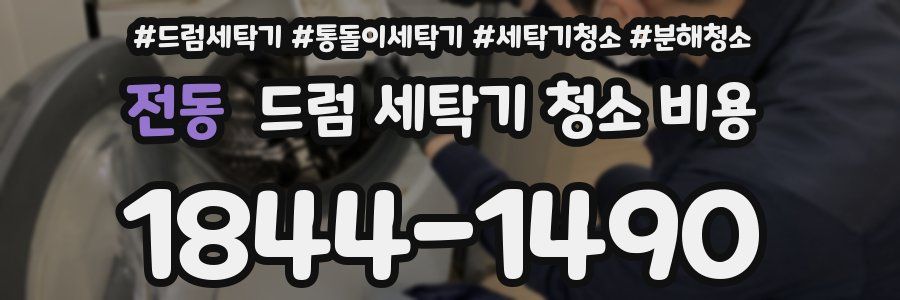 전동 드럼 세탁기 청소 비용