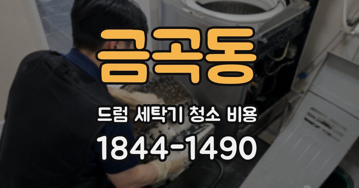 금곡동 드럼 세탁기 청소 비용