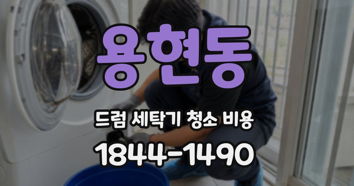 용현동 드럼 세탁기 청소 비용