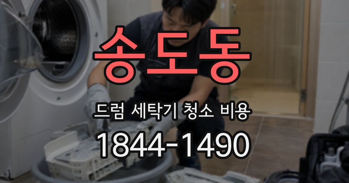 송도동 드럼 세탁기 청소 비용
