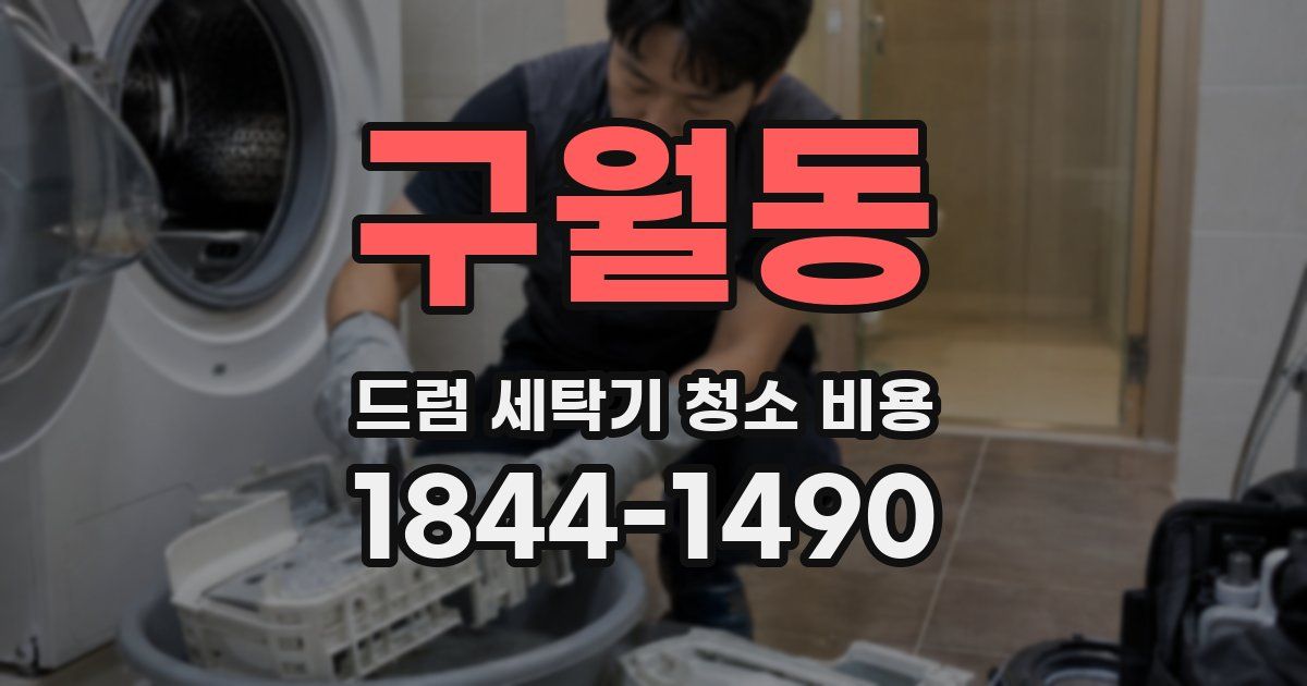 구월동 드럼 세탁기 청소 비용