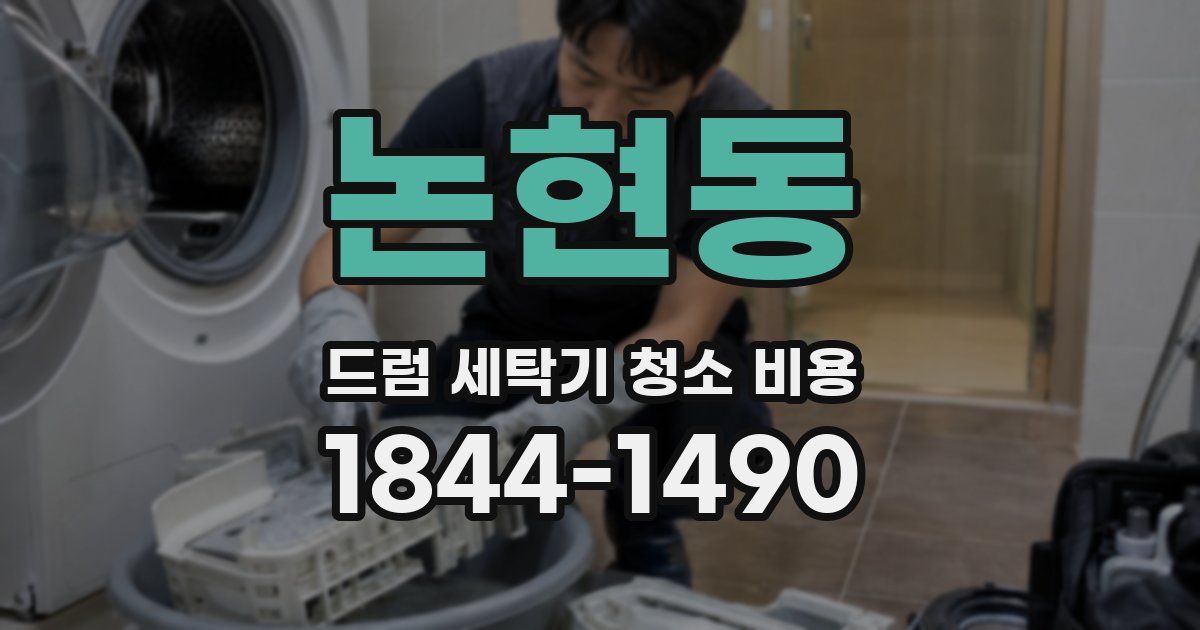 논현동 드럼 세탁기 청소 비용