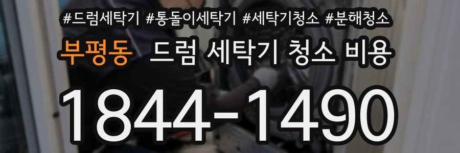 부평동 드럼 세탁기 청소 비용