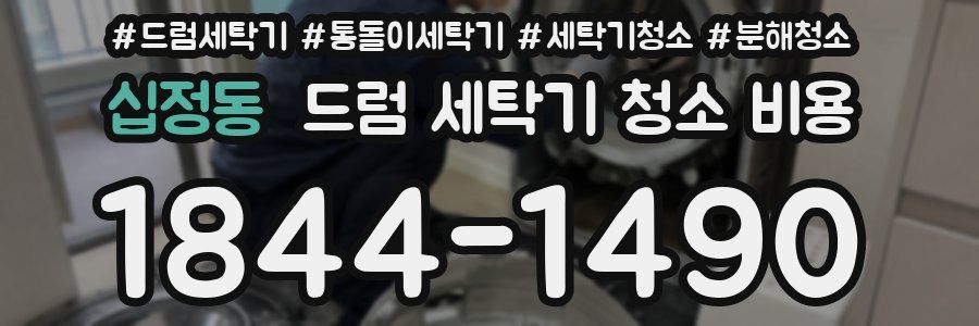 십정동 드럼 세탁기 청소 비용
