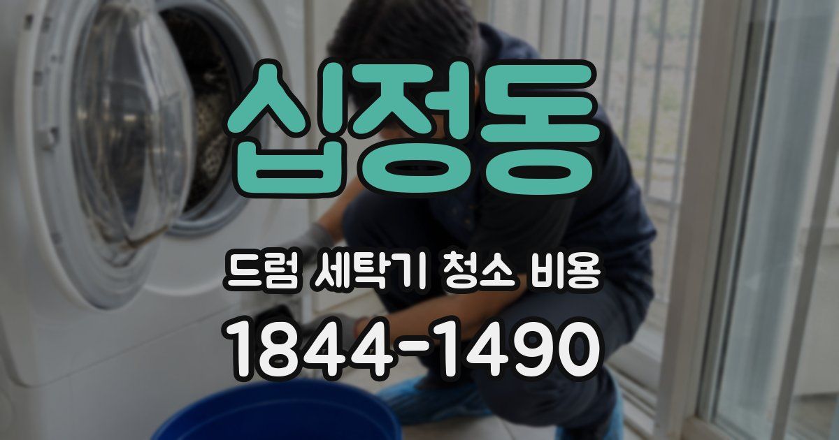 십정동 드럼 세탁기 청소 비용