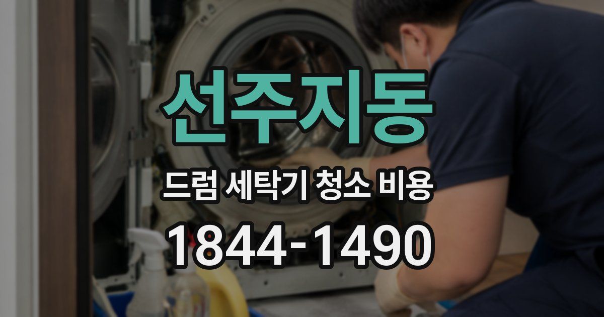 선주지동 드럼 세탁기 청소 비용