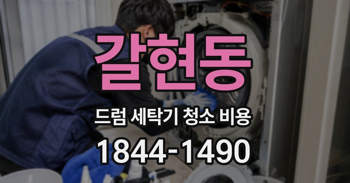 갈현동 드럼 세탁기 청소 비용