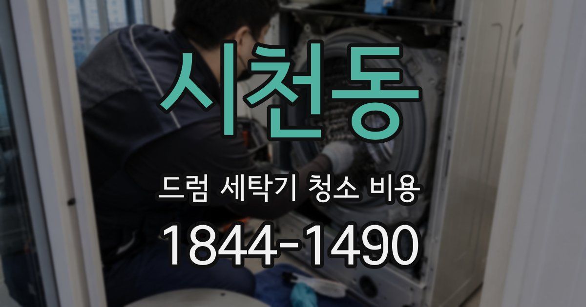 시천동 드럼 세탁기 청소 비용