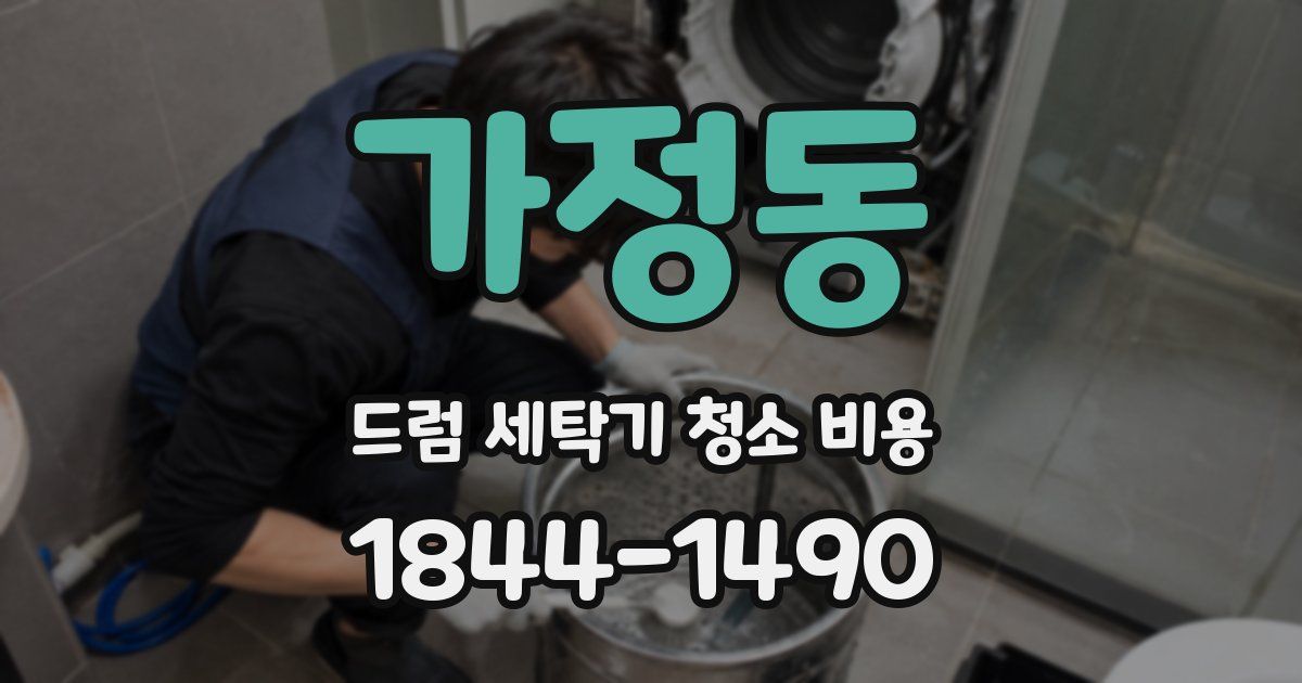 가정동 드럼 세탁기 청소 비용