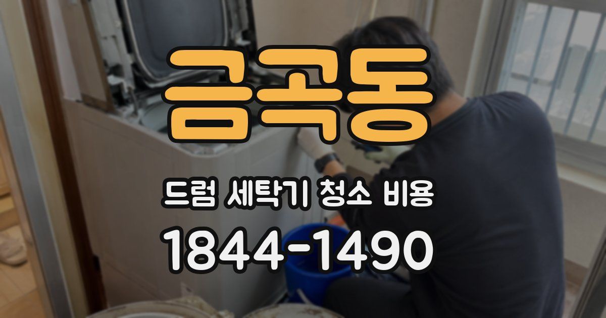 금곡동 드럼 세탁기 청소 비용