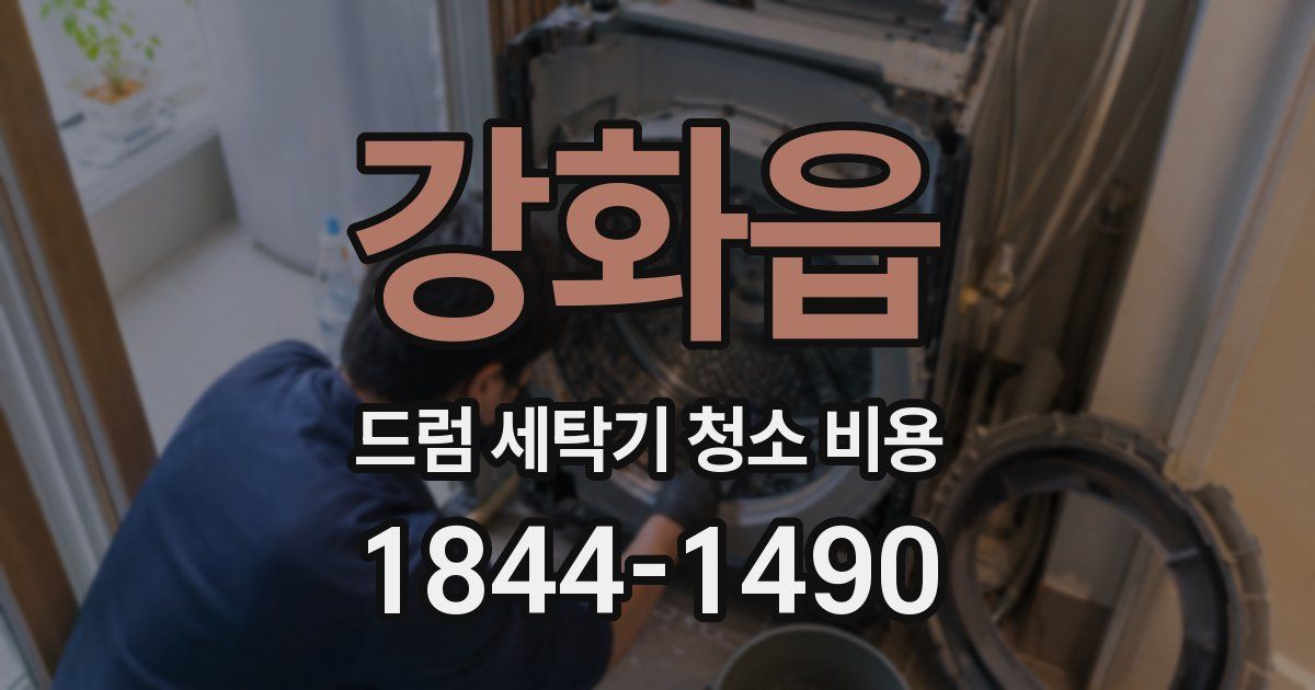 강화읍 드럼 세탁기 청소 비용