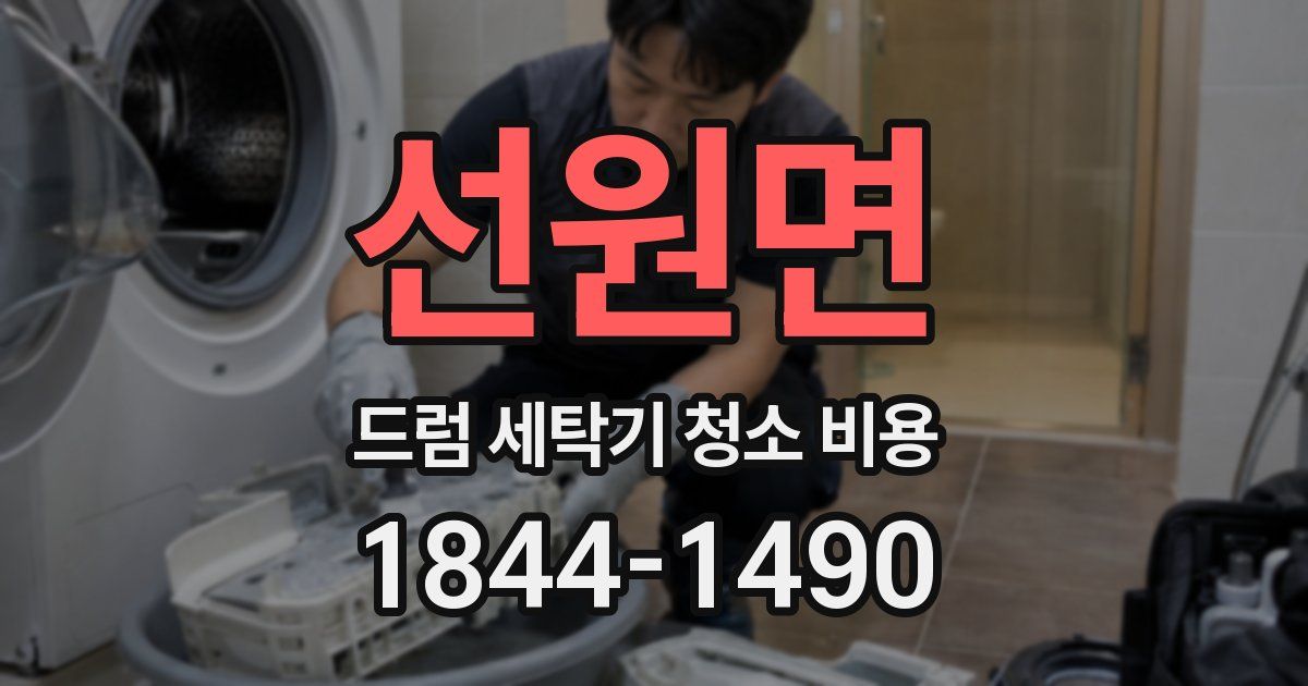 선원면 드럼 세탁기 청소 비용