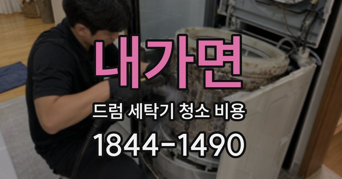 내가면 드럼 세탁기 청소 비용