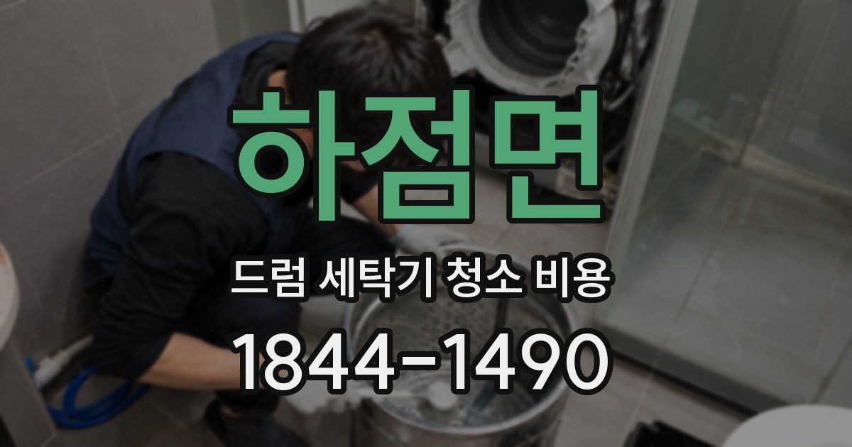 하점면 드럼 세탁기 청소 비용