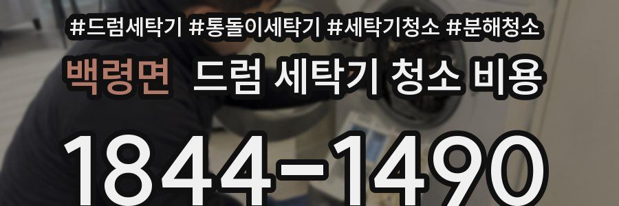 백령면 드럼 세탁기 청소 비용