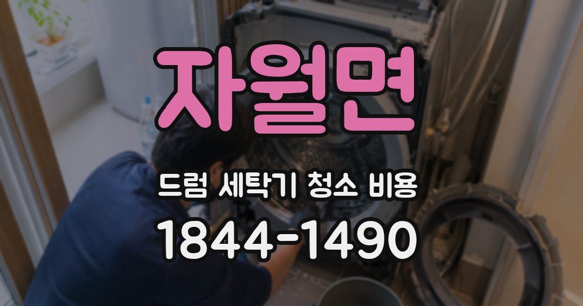 자월면 드럼 세탁기 청소 비용