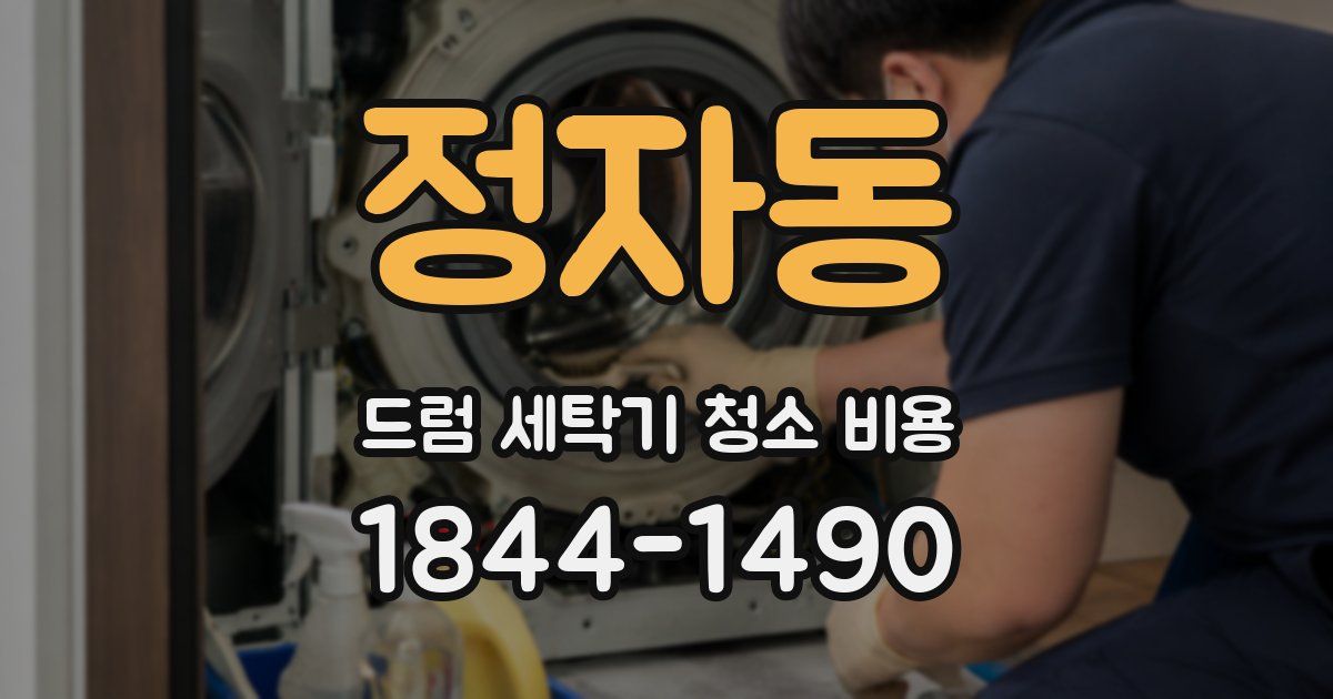 정자동 드럼 세탁기 청소 비용