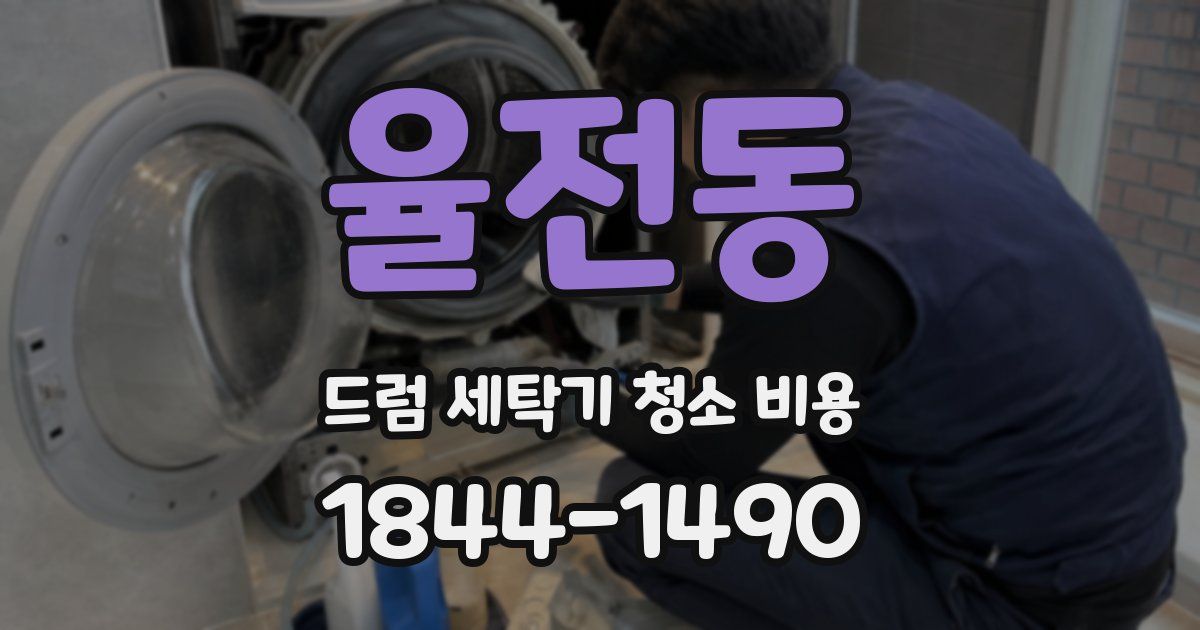 율전동 드럼 세탁기 청소 비용