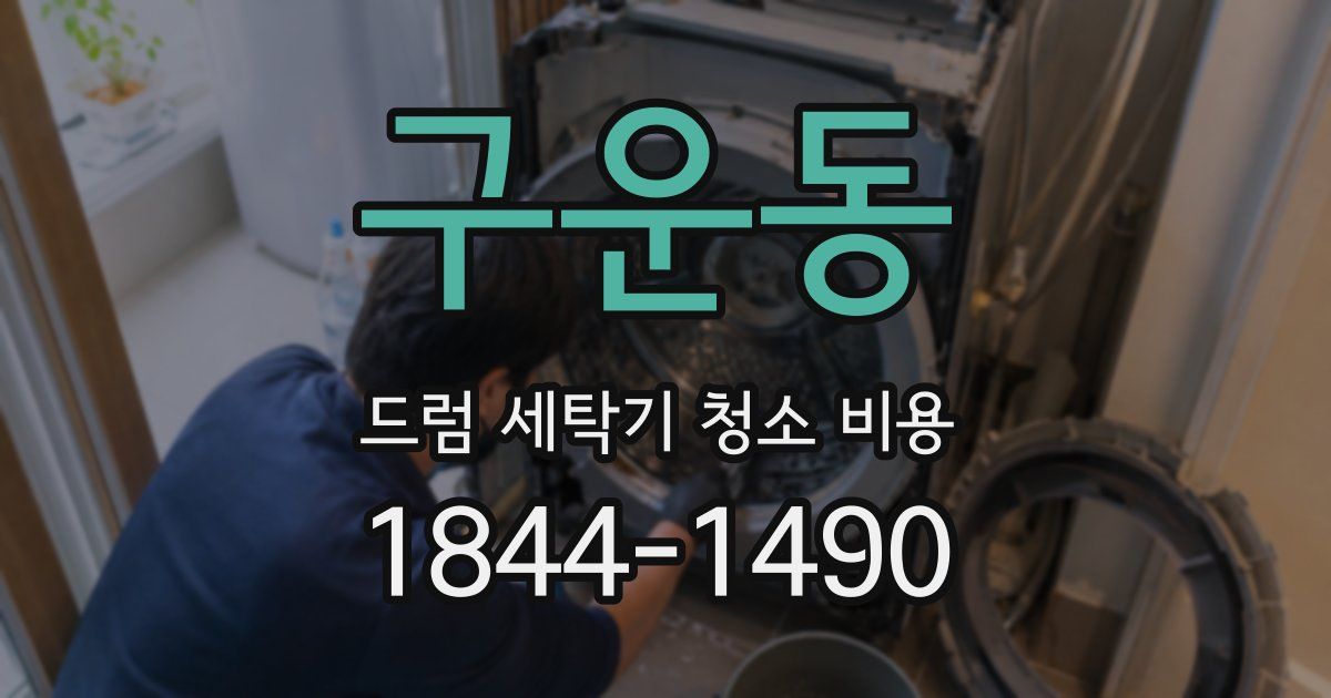 구운동 드럼 세탁기 청소 비용