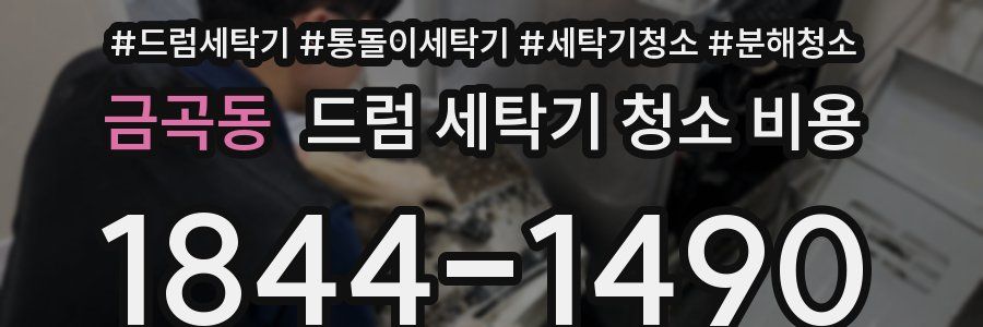 금곡동 드럼 세탁기 청소 비용
