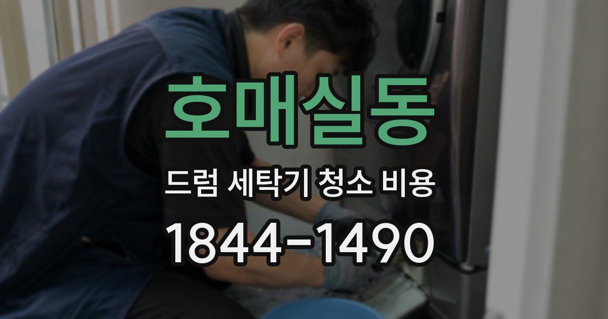 호매실동 드럼 세탁기 청소 비용