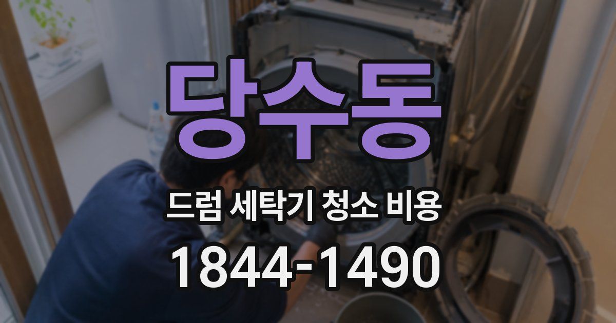 당수동 드럼 세탁기 청소 비용