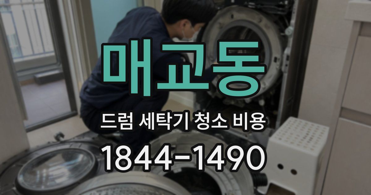 매교동 드럼 세탁기 청소 비용