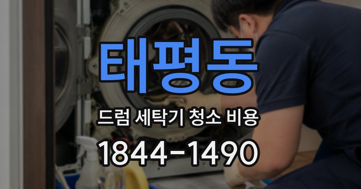 태평동 드럼 세탁기 청소 비용