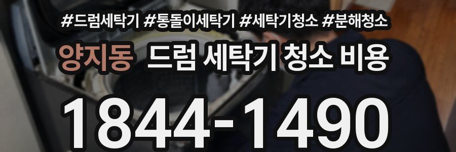 양지동 드럼 세탁기 청소 비용