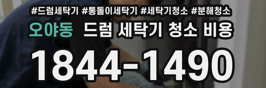 오야동 드럼 세탁기 청소 비용