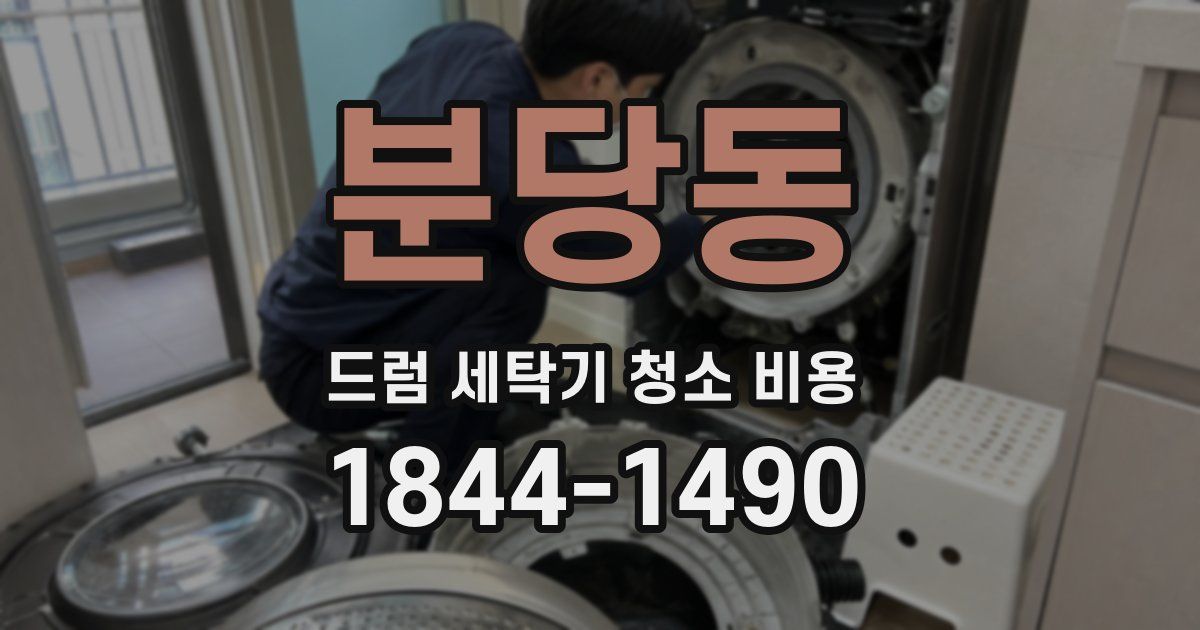 분당동 드럼 세탁기 청소 비용