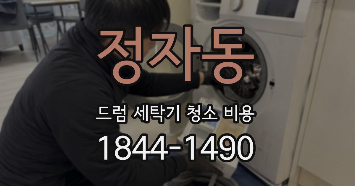 정자동 드럼 세탁기 청소 비용