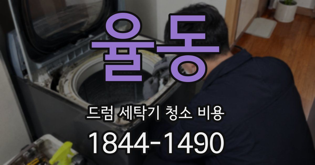 율동 드럼 세탁기 청소 비용