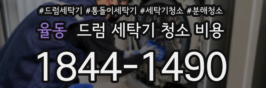 율동 드럼 세탁기 청소 비용