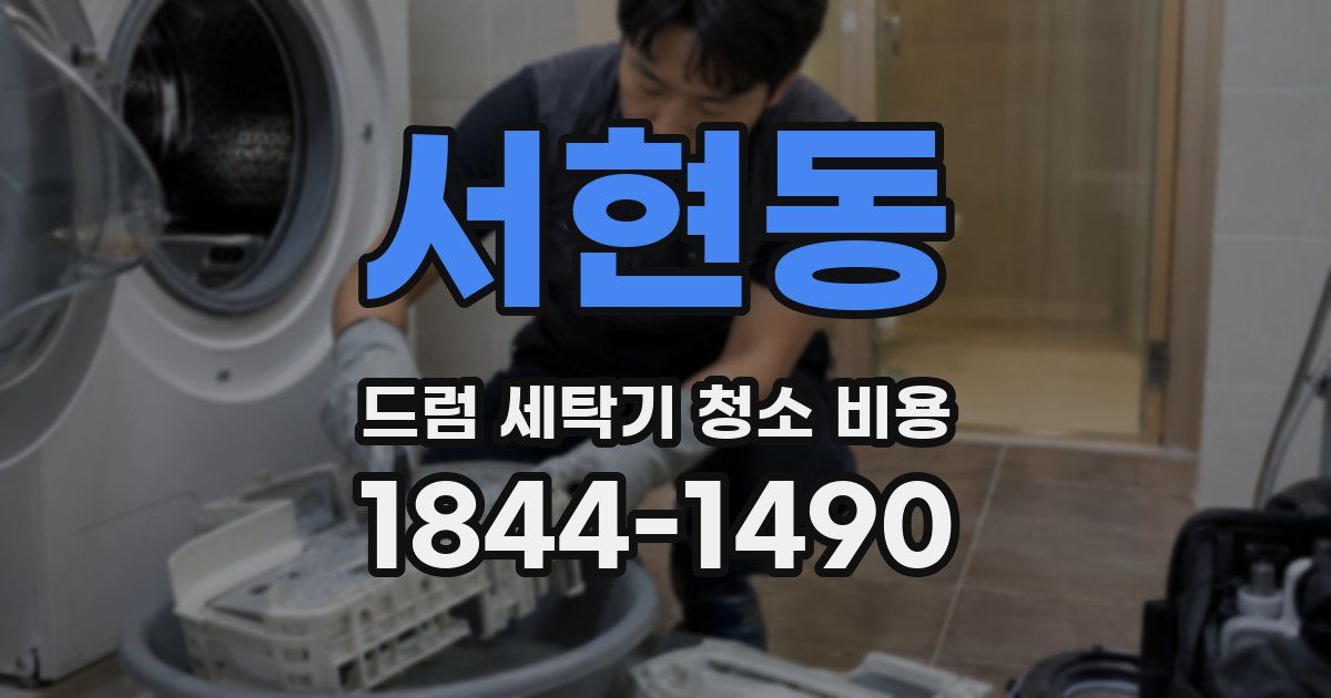 서현동 드럼 세탁기 청소 비용