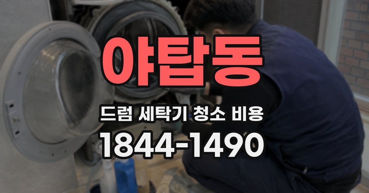 야탑동 드럼 세탁기 청소 비용