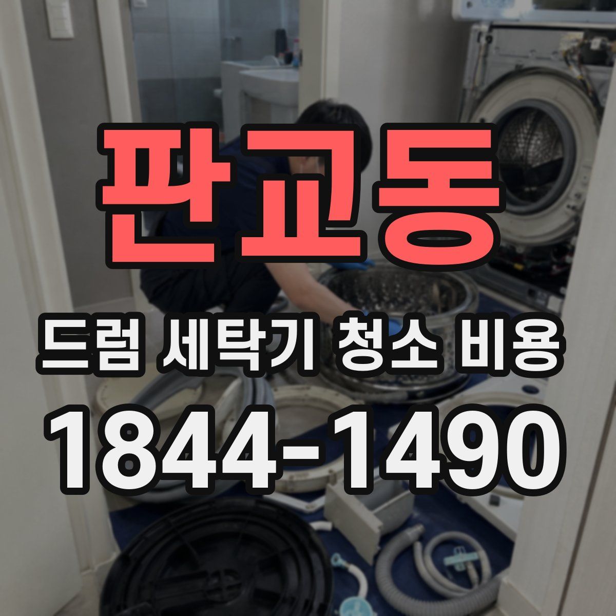 판교동 드럼 세탁기 청소 비용