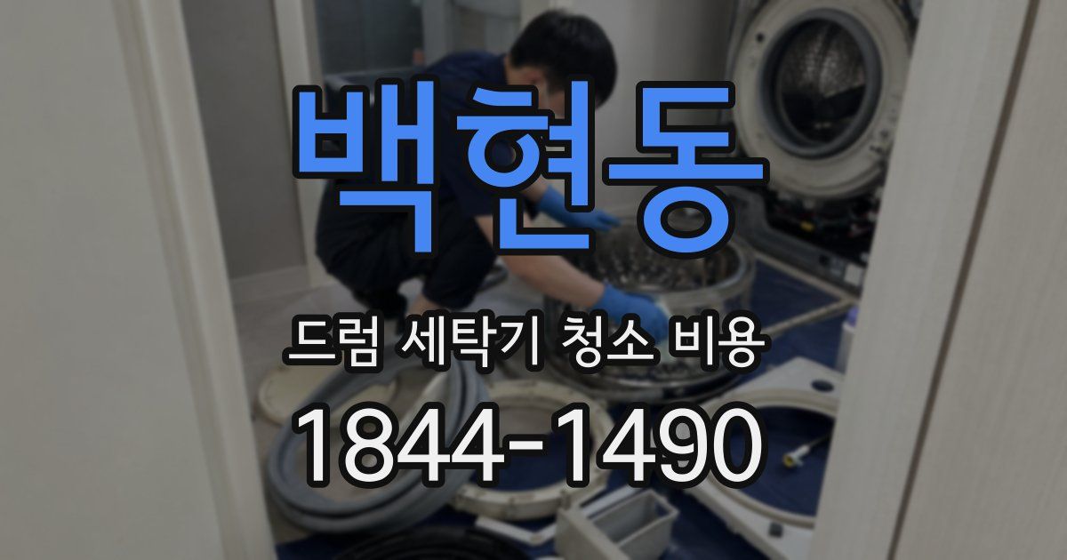 백현동 드럼 세탁기 청소 비용