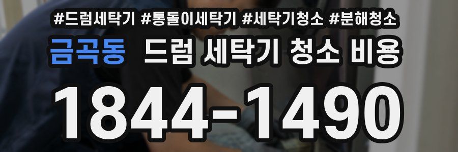 금곡동 드럼 세탁기 청소 비용