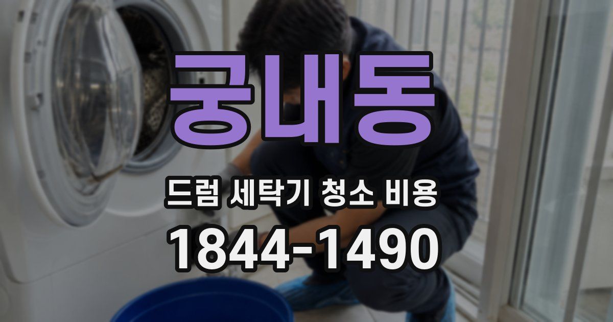 궁내동 드럼 세탁기 청소 비용