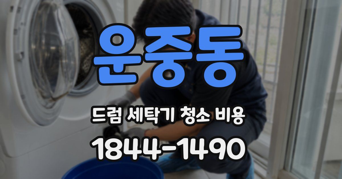 운중동 드럼 세탁기 청소 비용