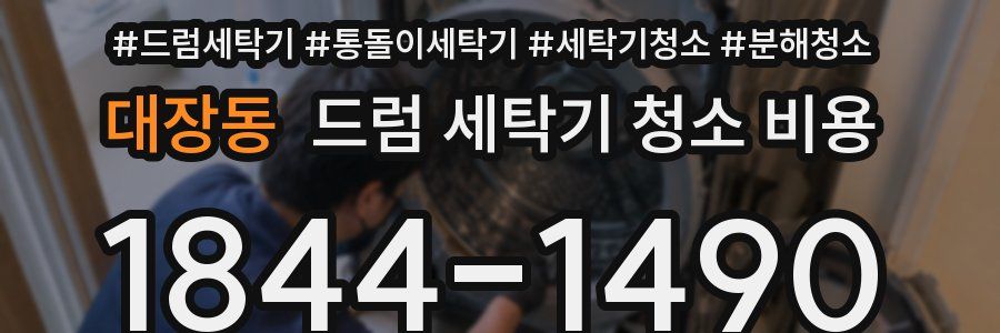 대장동 드럼 세탁기 청소 비용