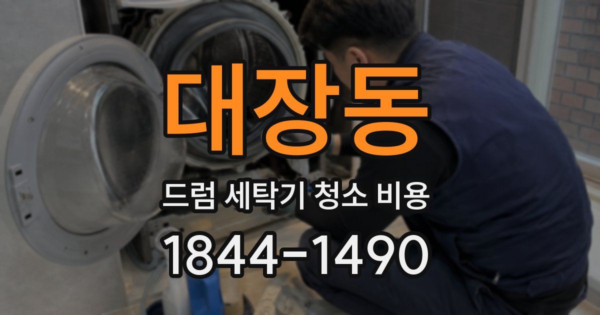 대장동 드럼 세탁기 청소 비용