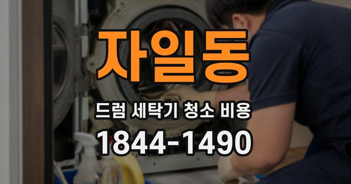 자일동 드럼 세탁기 청소 비용