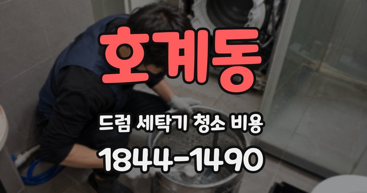 호계동 드럼 세탁기 청소 비용