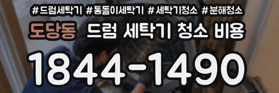 도당동 드럼 세탁기 청소 비용