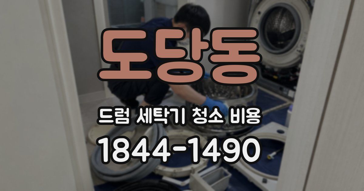 도당동 드럼 세탁기 청소 비용