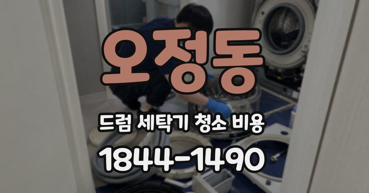 오정동 드럼 세탁기 청소 비용